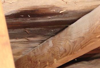 Riedel Commercial Roofing Images